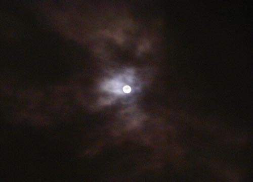 d0053294_0282070.jpg