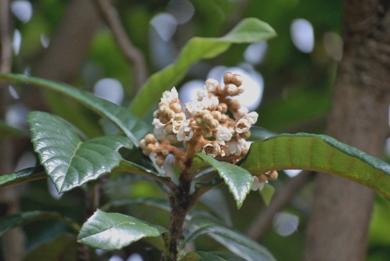 e0025300_17442295.jpg
