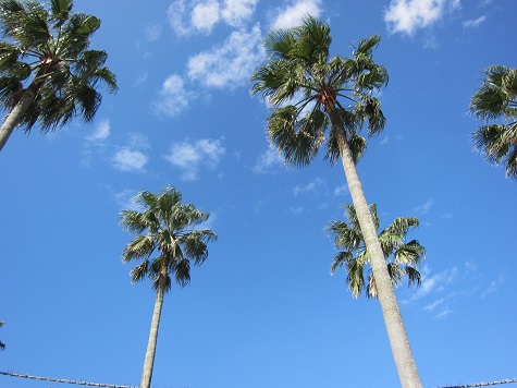 e0245404_1646421.jpg