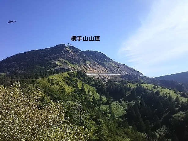 e0347508_15471211.jpg