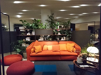 d0091909_15305128.jpg