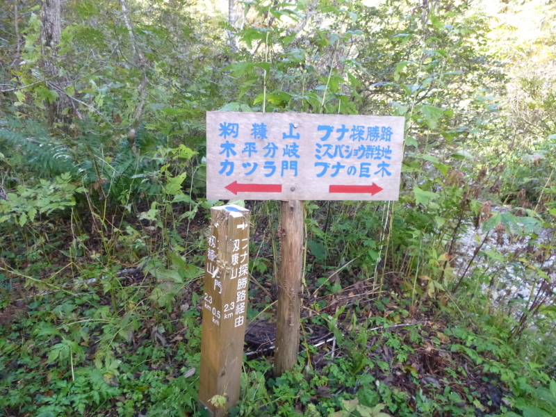 d0170615_17064423.jpg
