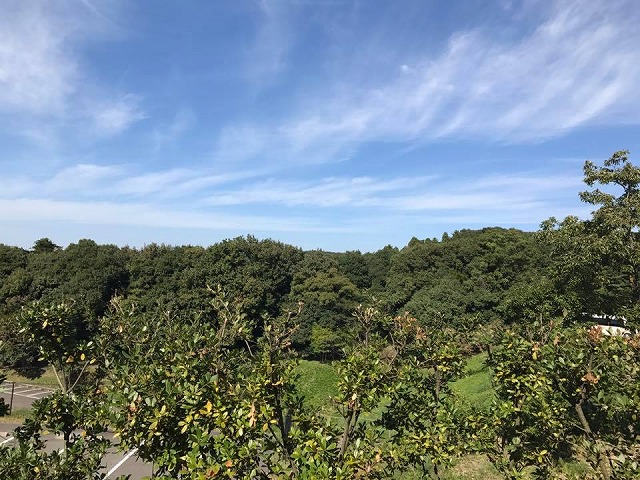 b0138522_17124930.jpg