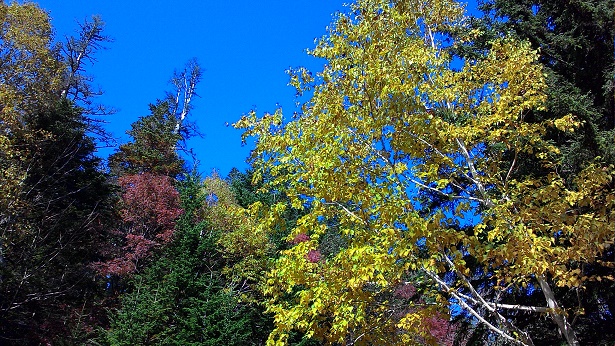 c0188229_1623436.jpg