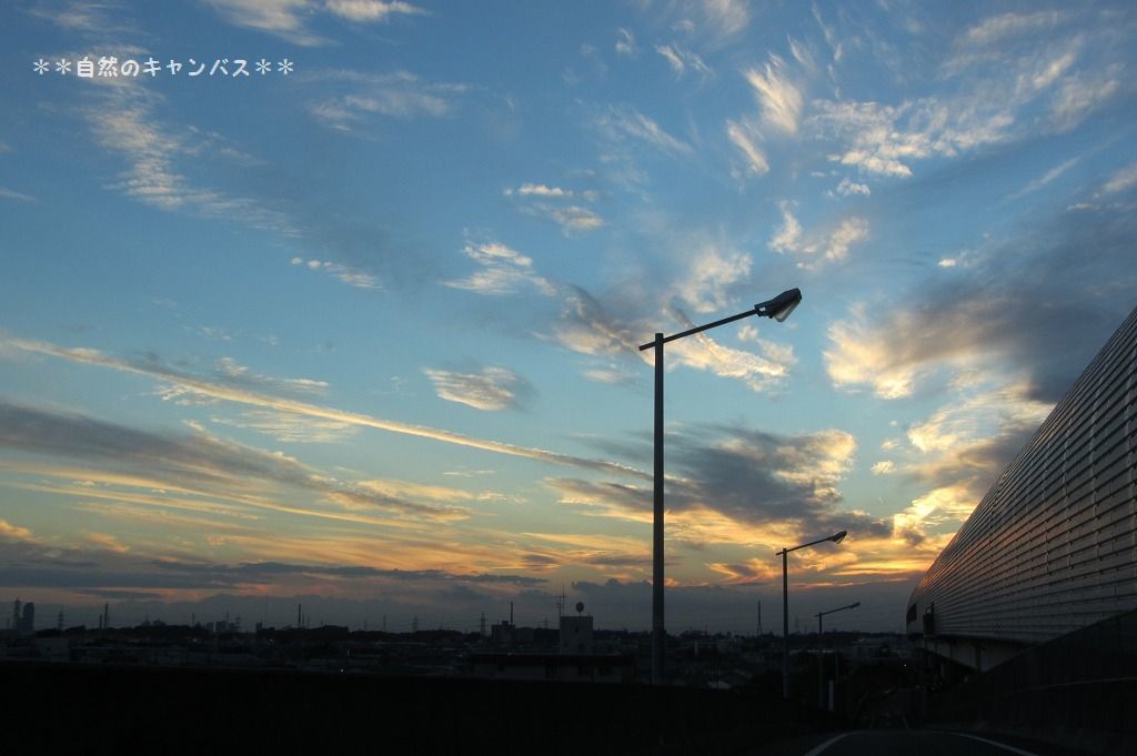 e0052135_22074035.jpg