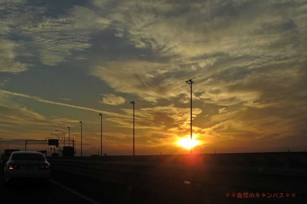 e0052135_22075960.jpg