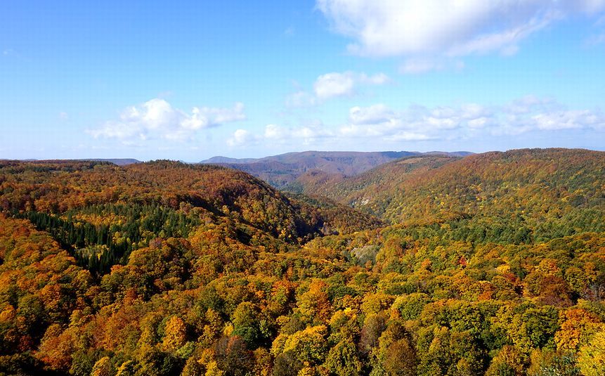 c0249836_14224962.jpg