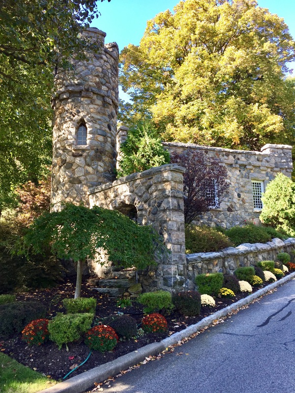 a0224537_1421134.jpg