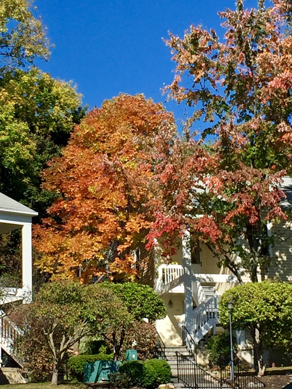 a0224537_145425.jpg