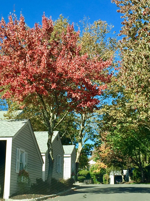 a0224537_146757.jpg