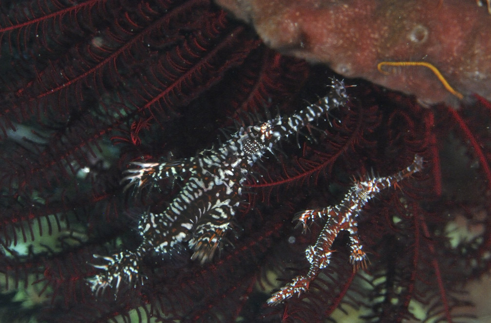 b0042837_8272563.jpg