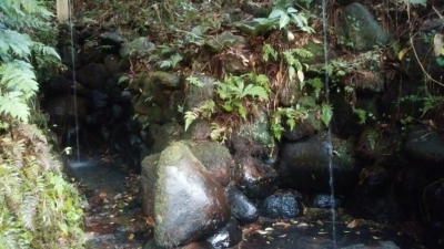 e0037439_10565887.jpg