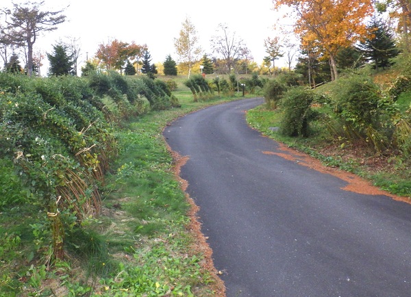 c0233141_16181740.jpg