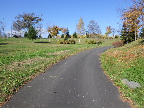 c0233141_16193369.jpg