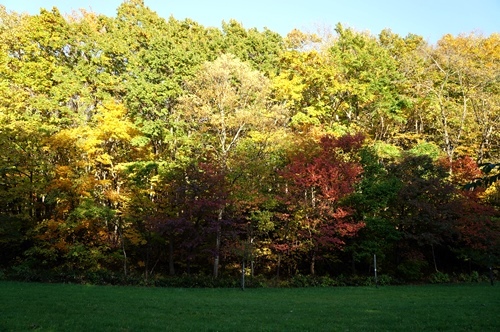 b0256148_23211892.jpg