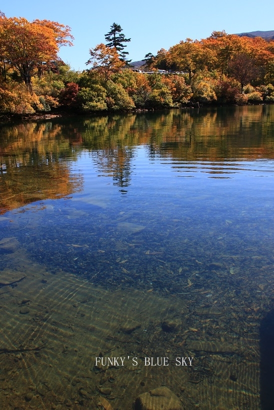 c0145250_10221941.jpg