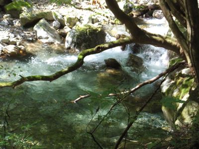 b0220251_782930.jpg