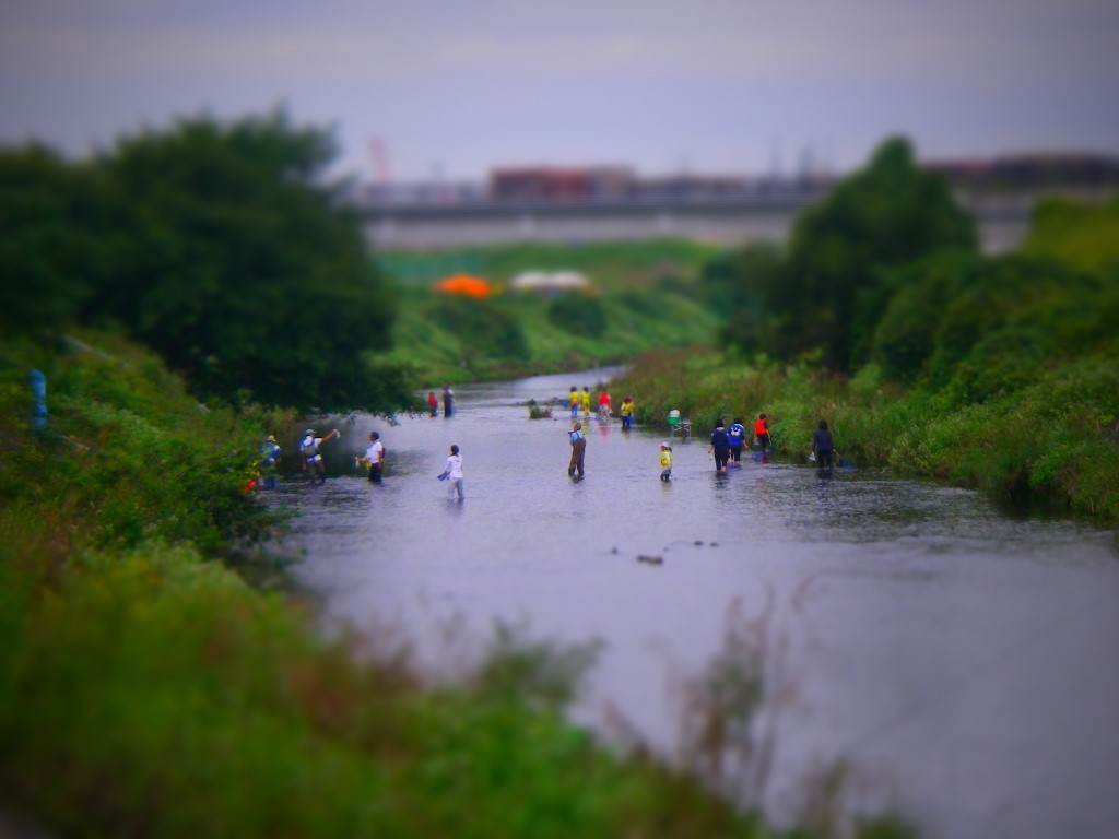 a0130057_00292670.jpg