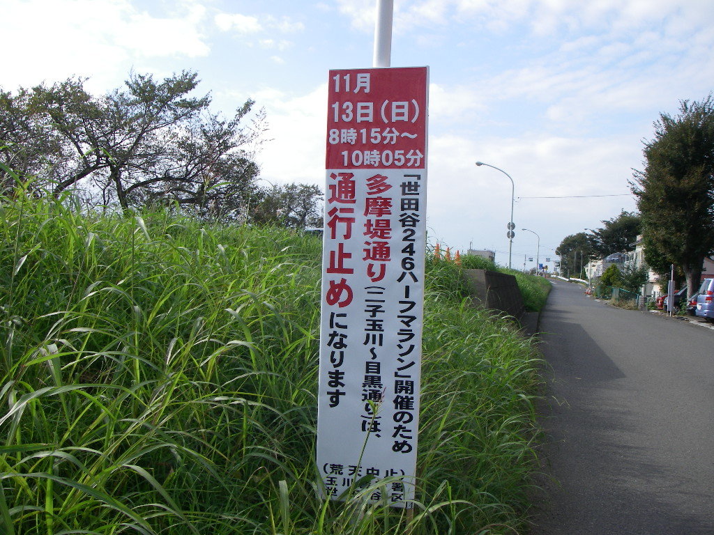 a0130057_00413546.jpg