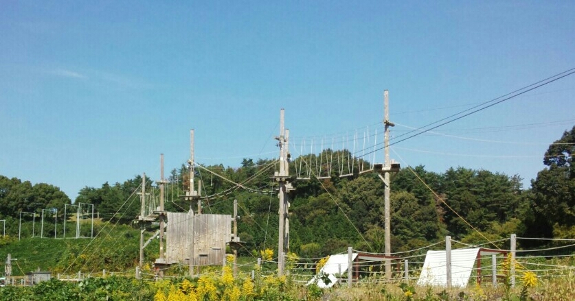 c0324961_17143836.jpg