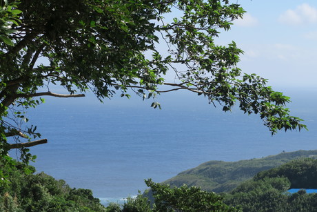 e0292172_20294290.jpg