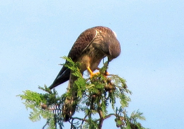 f0378979_1923218.jpg