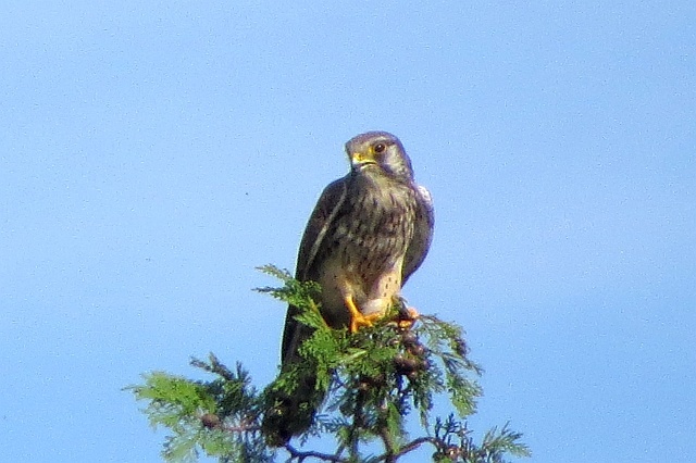 f0378979_1934463.jpg