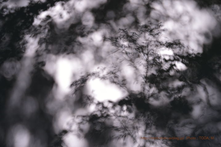 b0102780_673156.jpg