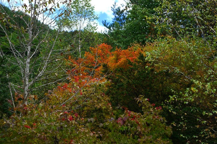 a0130586_16532472.jpg