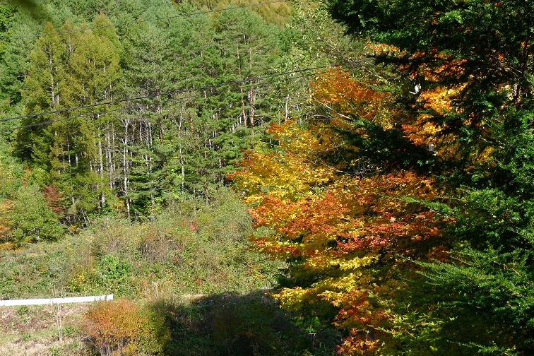a0130586_1712346.jpg