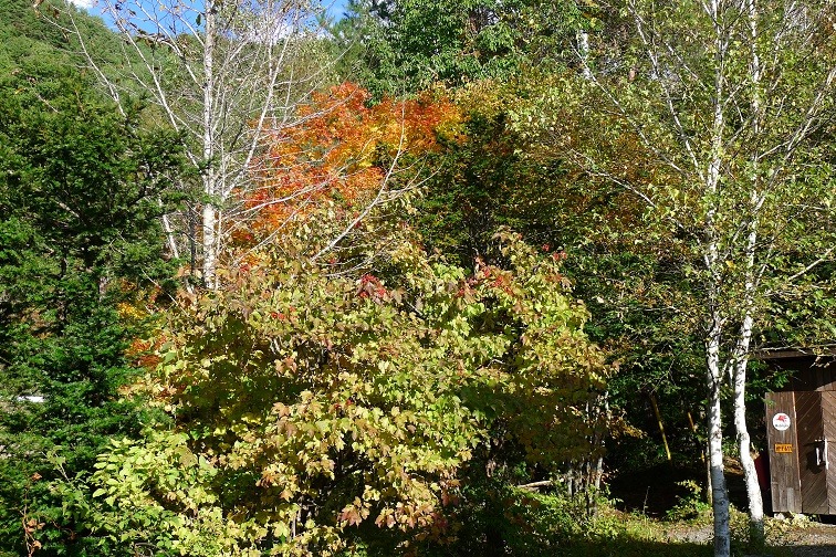 a0130586_1744840.jpg