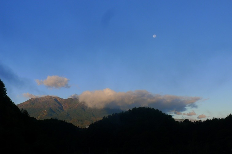 a0130586_853175.jpg