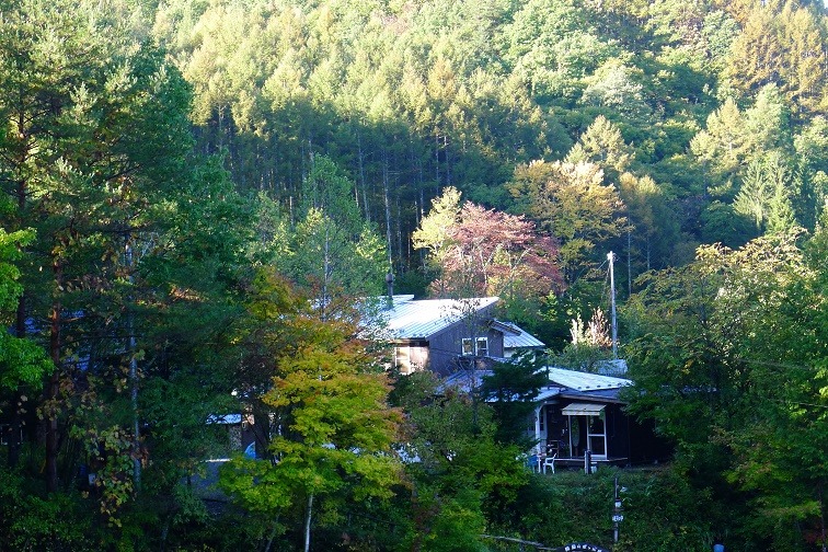 a0130586_859548.jpg