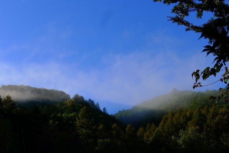 a0130586_9133067.jpg