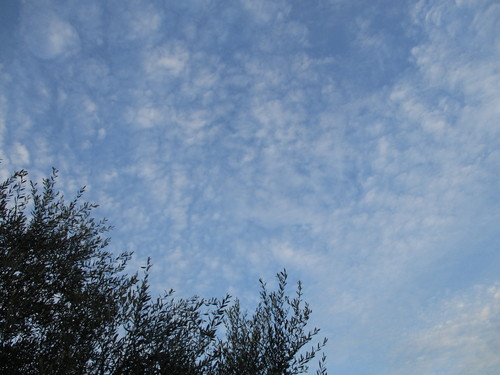 d0333091_1852503.jpg