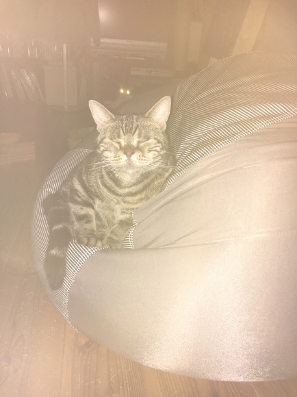 c0011300_22173851.jpeg