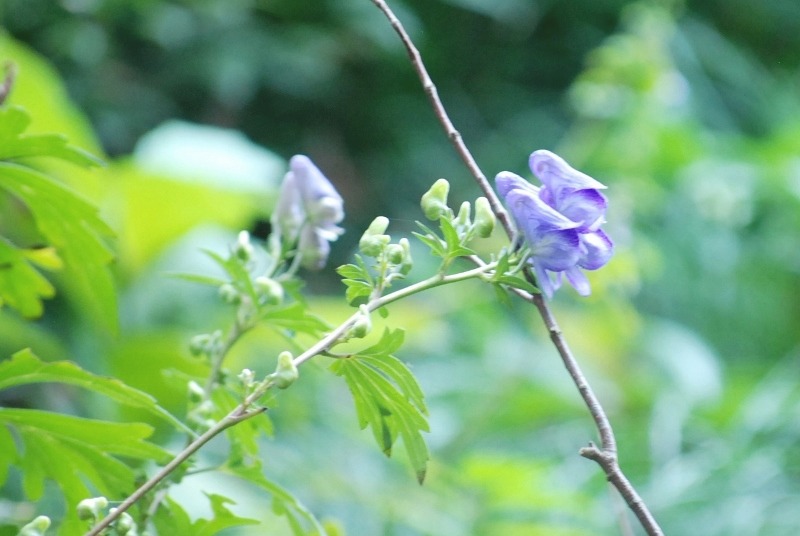 e0025300_14242045.jpg