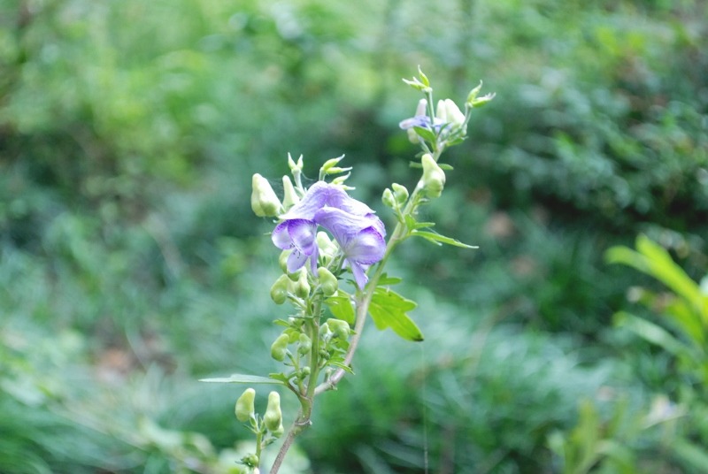 e0025300_14275938.jpg