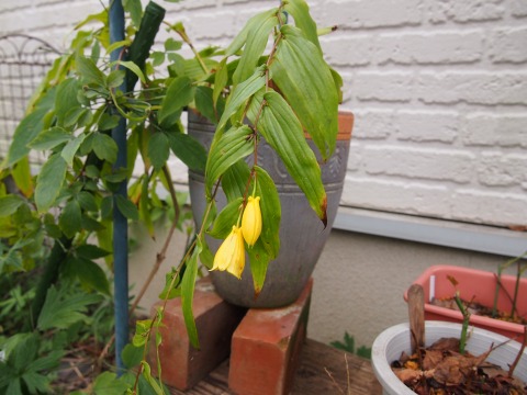c0117007_20474587.jpg