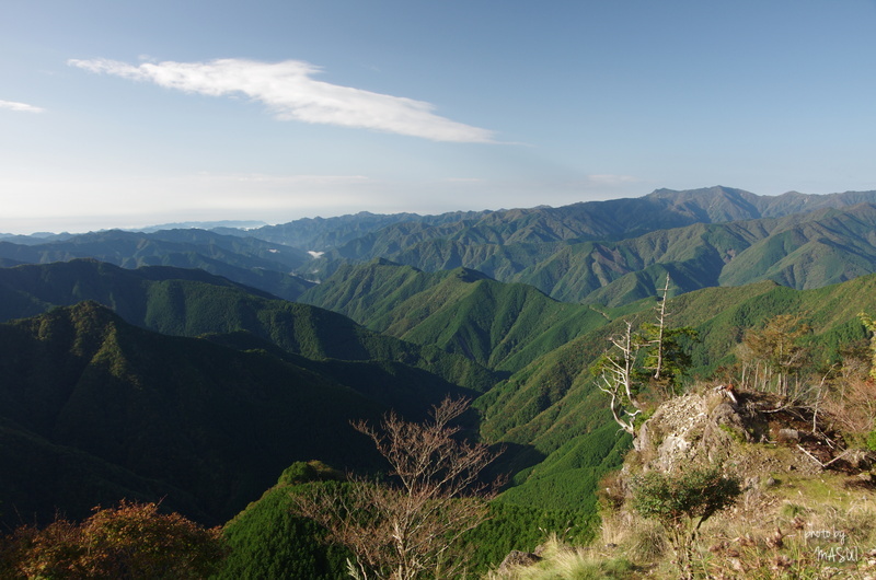 d0342307_23282984.jpg