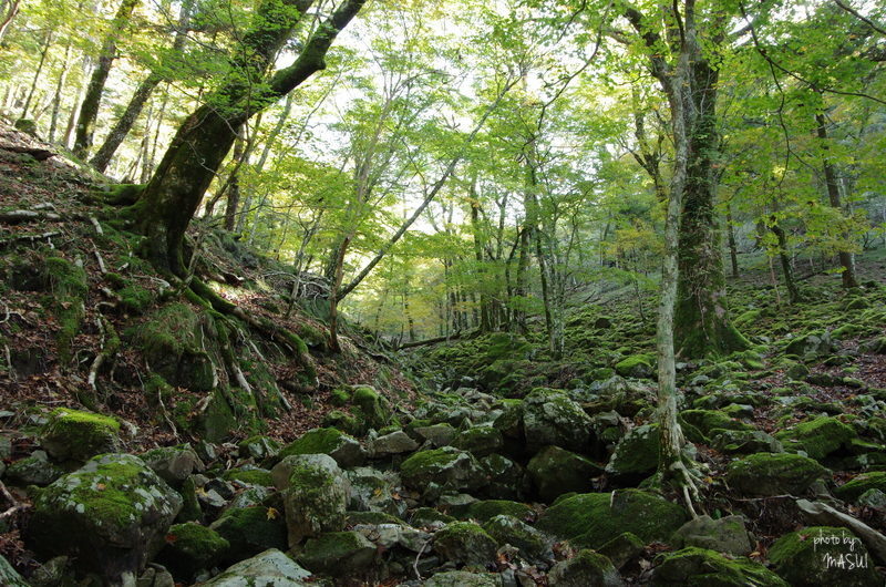 d0342307_23323310.jpg