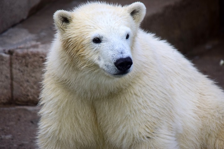 a0151913_15235912.jpg