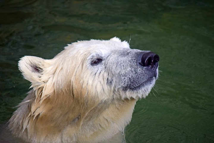 a0151913_15293551.jpg