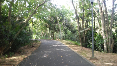 f0201320_0371071.jpg