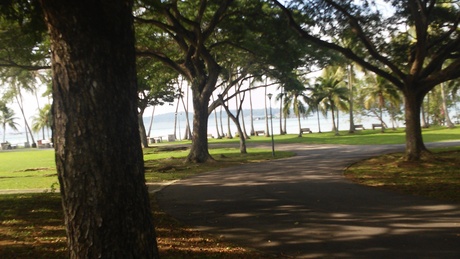 f0201320_0385332.jpg