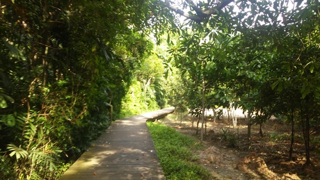 f0201320_038580.jpg
