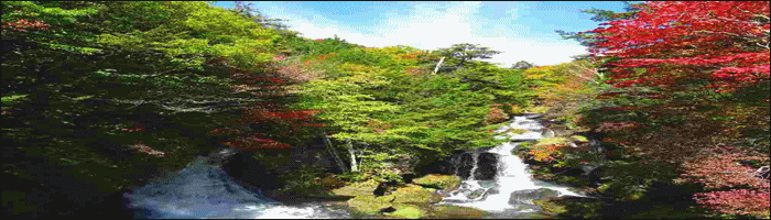 d0131847_13335322.gif