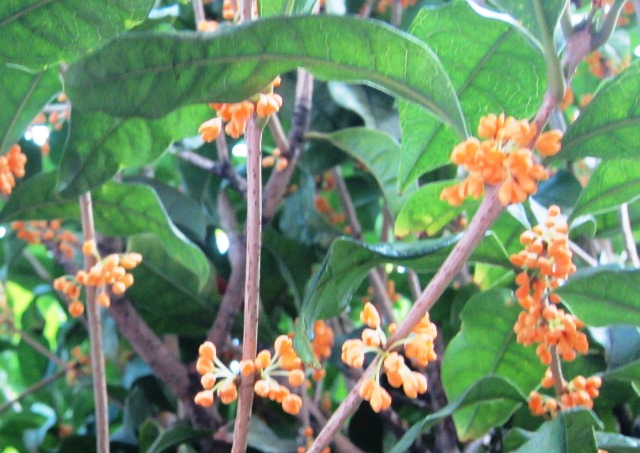 b0289649_10553490.jpg