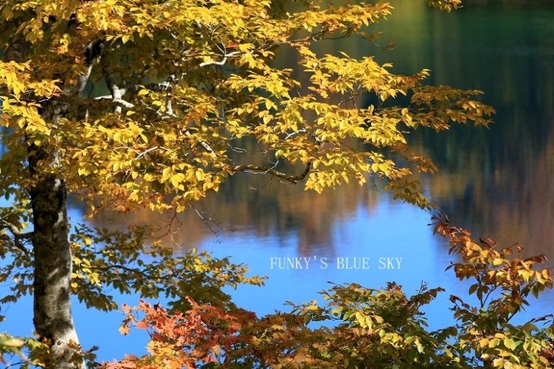 c0145250_11022657.jpg