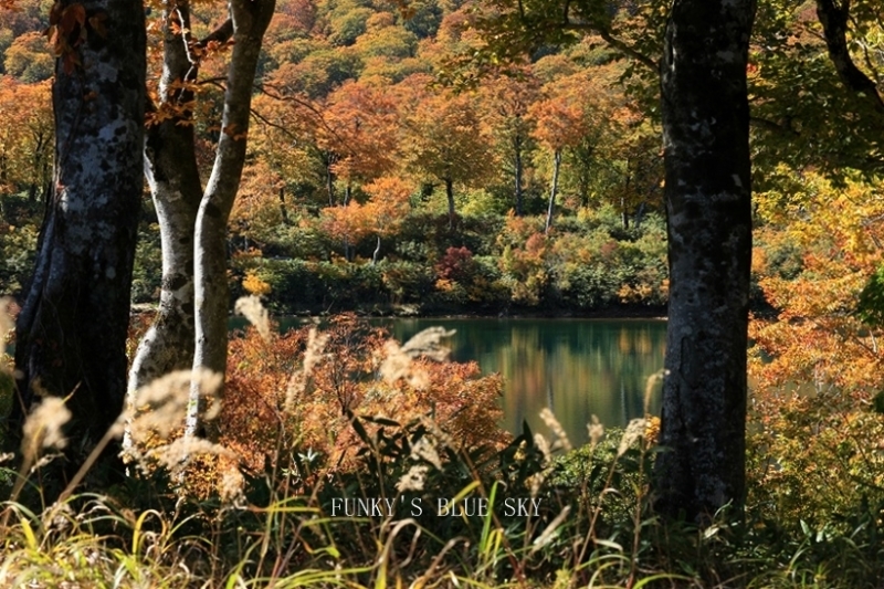 c0145250_11024470.jpg